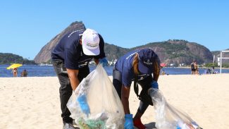 Voluntários retiram mais de 600 kg de resíduos da Baía de Guanabara