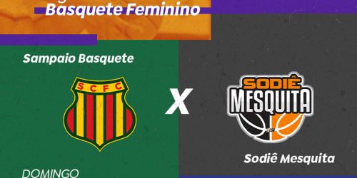 Basquete feminino: TV Brasil transmite Sampaio x Sodiê Mesquita Imagem referente a Basquete feminino: TV Brasil transmite Sampaio x Sodiê Mesquita
