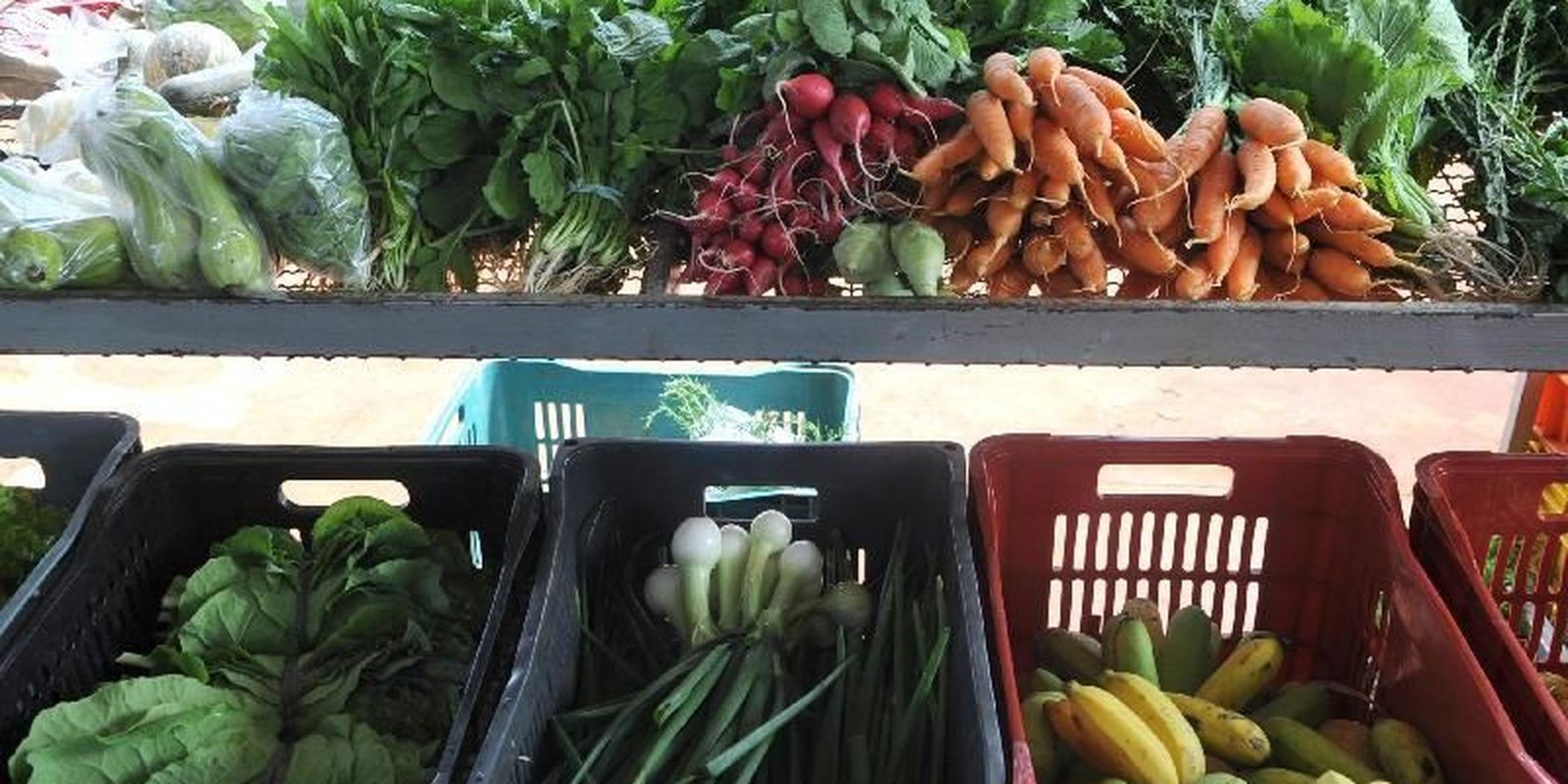 Encontro em Paris busca compromissos políticos por alimentação global Encontro em Paris busca compromissos políticos por alimentação global