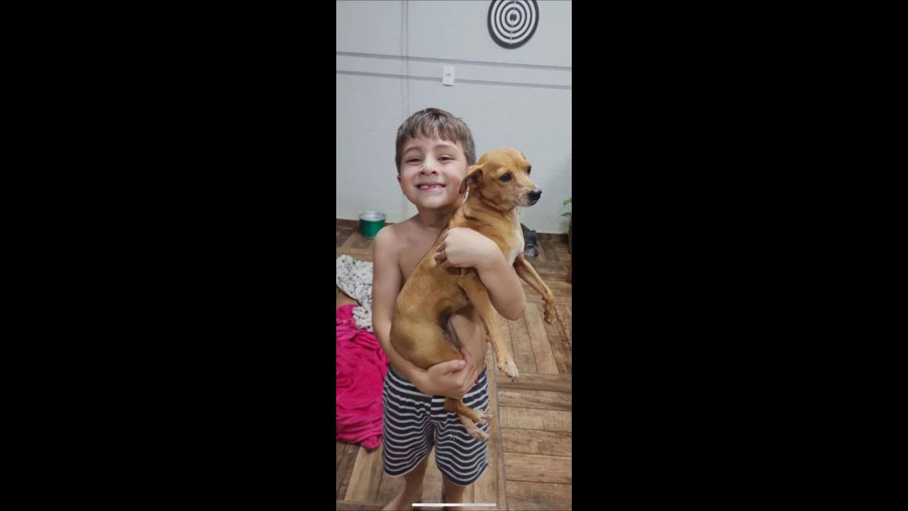 Cachorra Manu desapareceu no bairro Cancelli(ofereço recompensa)