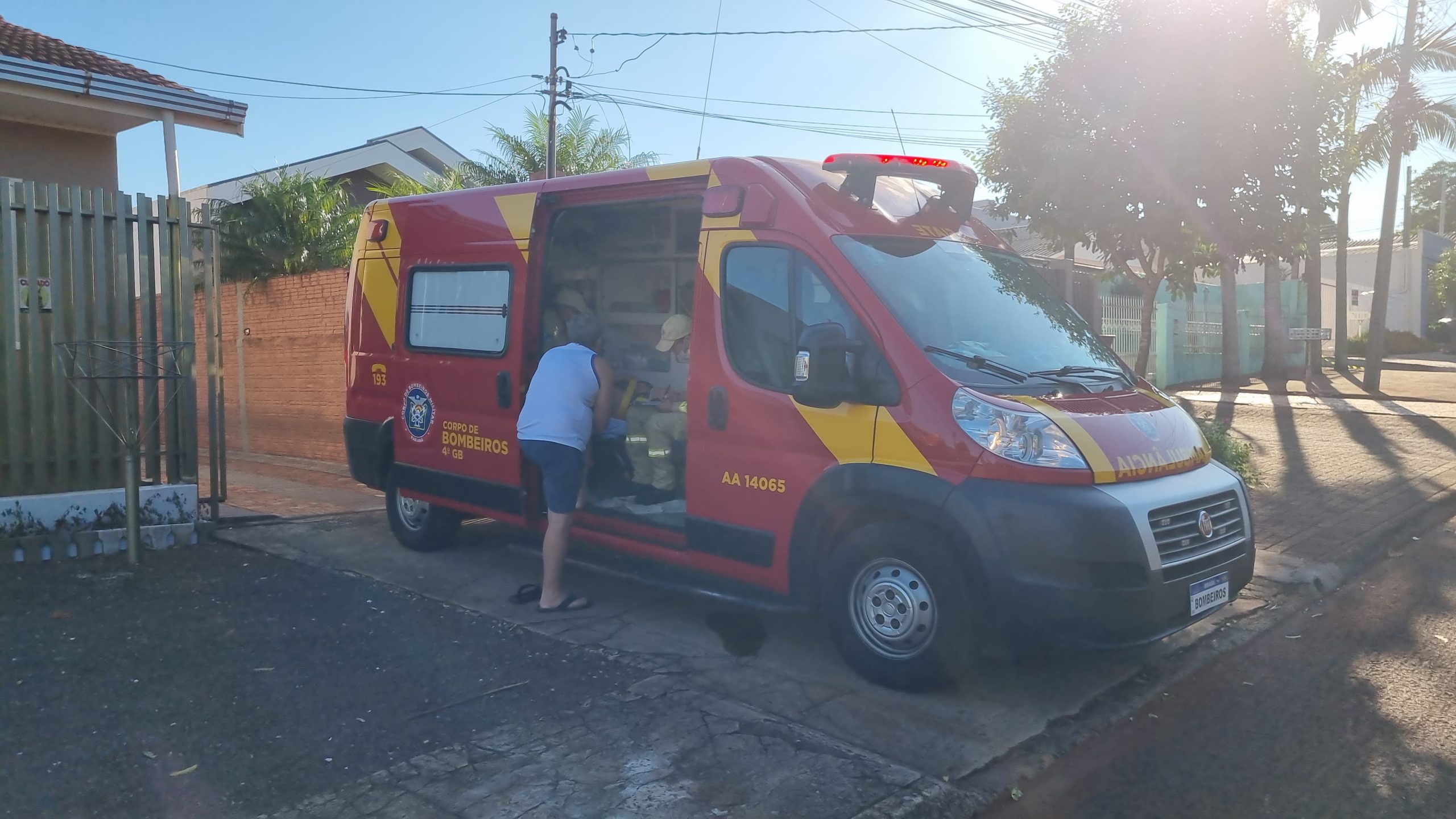 Mulher cai de árvore e fica ferida ao tentar colher fruta do conde em residência no Bairro Neva Mulher cai de árvore e fica ferida ao tentar colher fruta do conde em residência no Bairro Neva