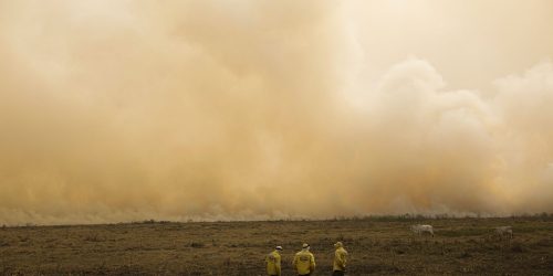 Verão foi menos chuvoso do que o necessário para repor água do solo Imagem referente a Verão foi menos chuvoso do que o necessário para repor água do solo