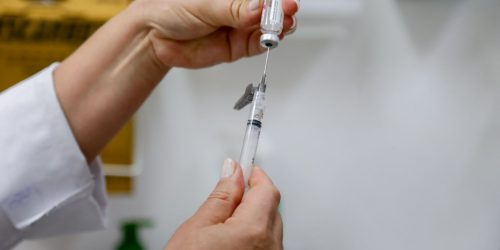 Dengue: 1 milhão de doses da vacina podem ser entregues pelo Butantan Imagem referente a Dengue: 1 milhão de doses da vacina podem ser entregues pelo Butantan