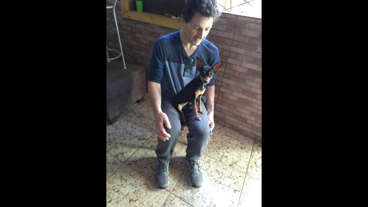 Cachorra Princesa desapareceu no bairro Universitário