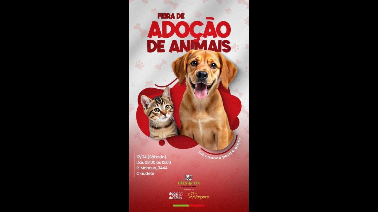 Cachorro é encontrado no bairro Cancelli