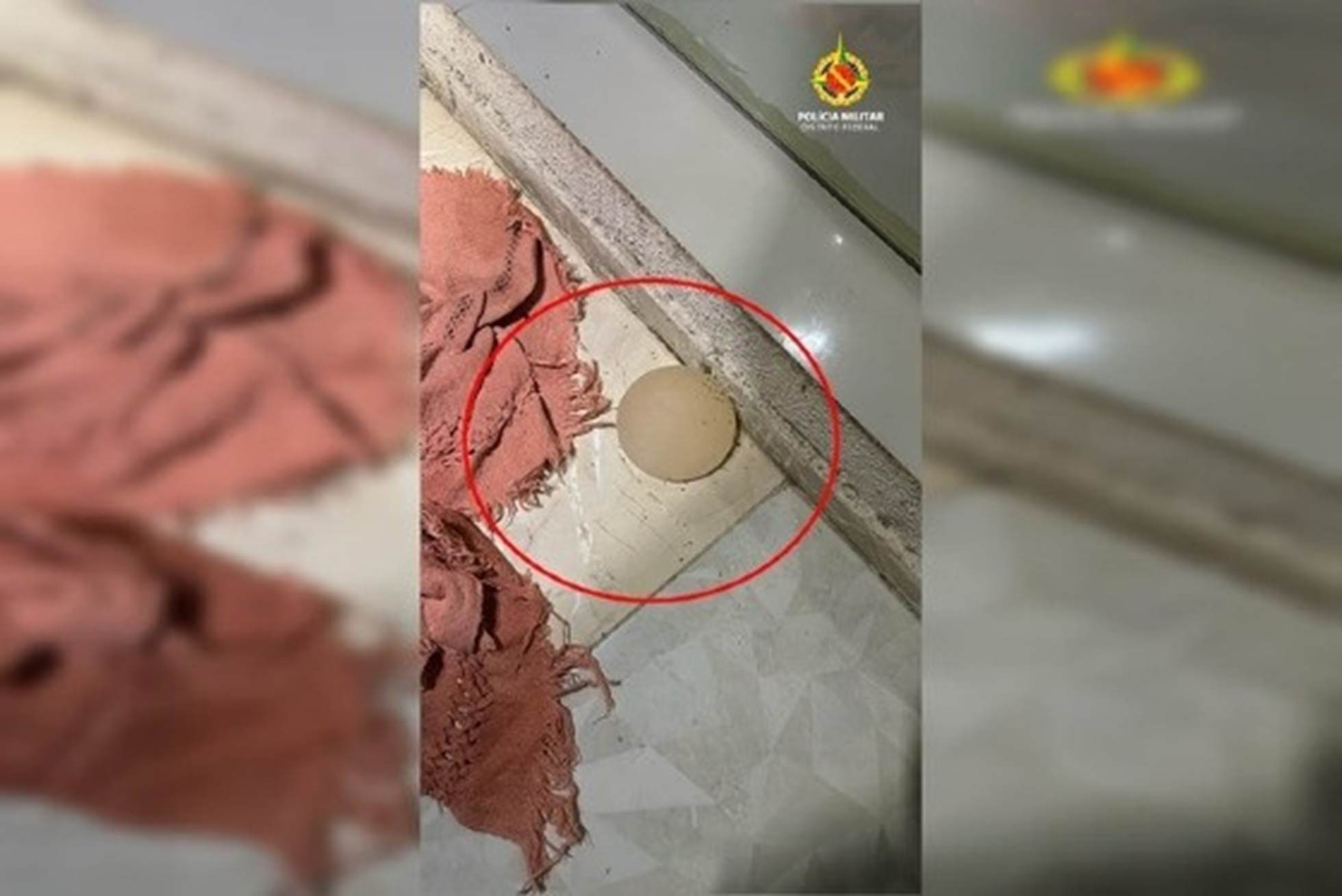 Ataque cruel: Homem é preso após arrancar silicone de companheira durante briga