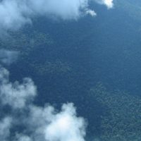 Imagem referente a Petrobras comprará R$ 450 milhões em créditos de carbono na Amazônia