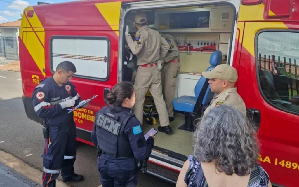Idosa é atacada por cão Pitbull em Sarandi e sofre ferimentos graves