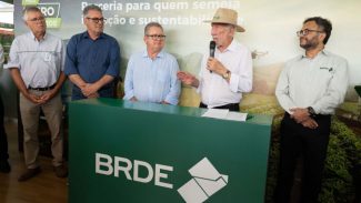 Com crescimento de 20% em 2024, BRDE supera R$ 21,5 bilhões em carteira de crédito