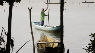Negligência do Estado afeta 3,2 mil famílias de pescadores artesanais