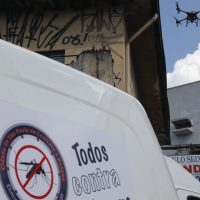 Imagem referente a Cidade de SP confirma segunda morte por dengue no ano