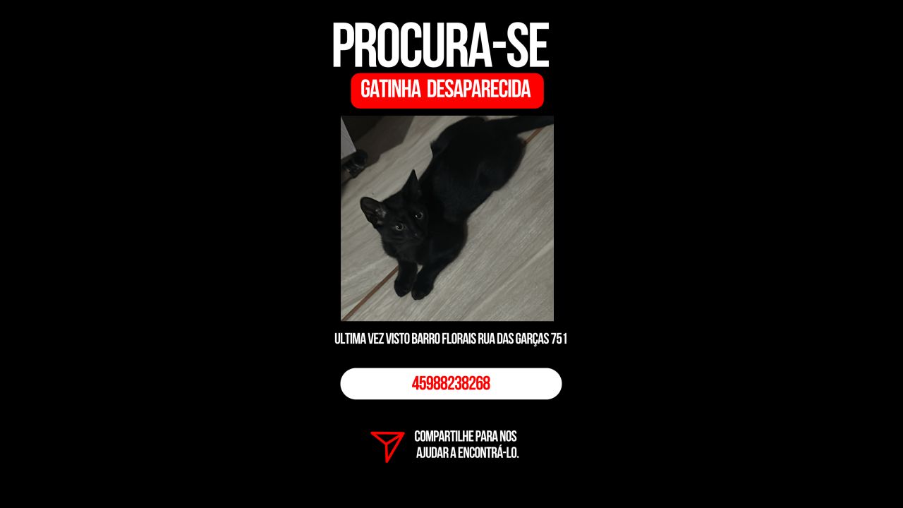 Gata Margarete desapareceu no bairro Florais do Paraná