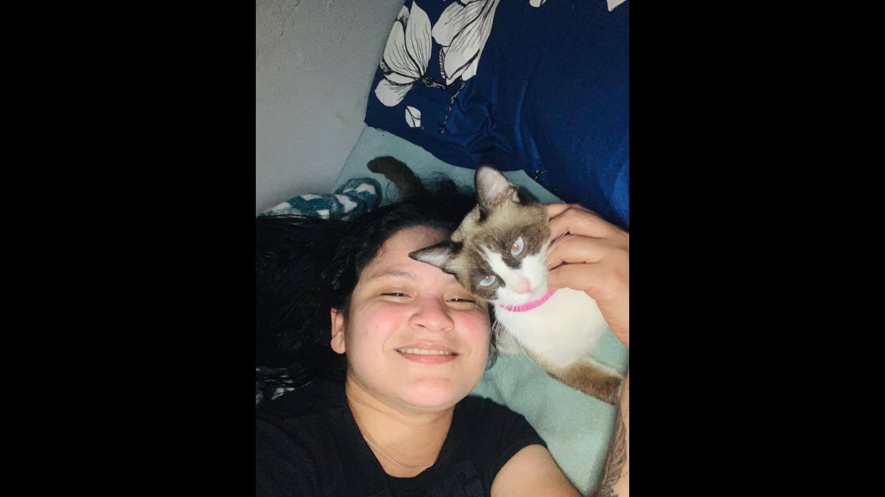 Gata Fifi desapareceu no bairro Neva