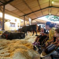 Imagem referente a Governo do Paraná apresenta inovação e tecnologia aplicada ao agro na ExpoLondrina 2025