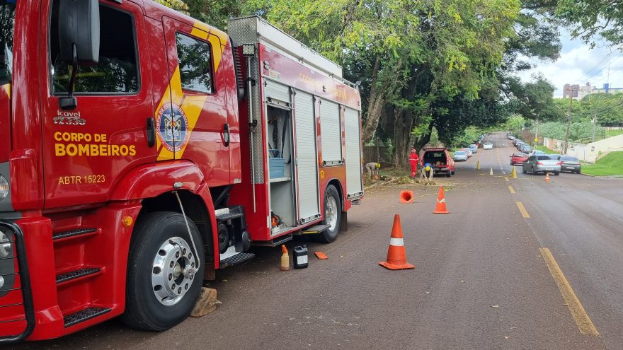 Bombeiros realizam corte de árvore ao lado do 6º BPM, em Cascavel