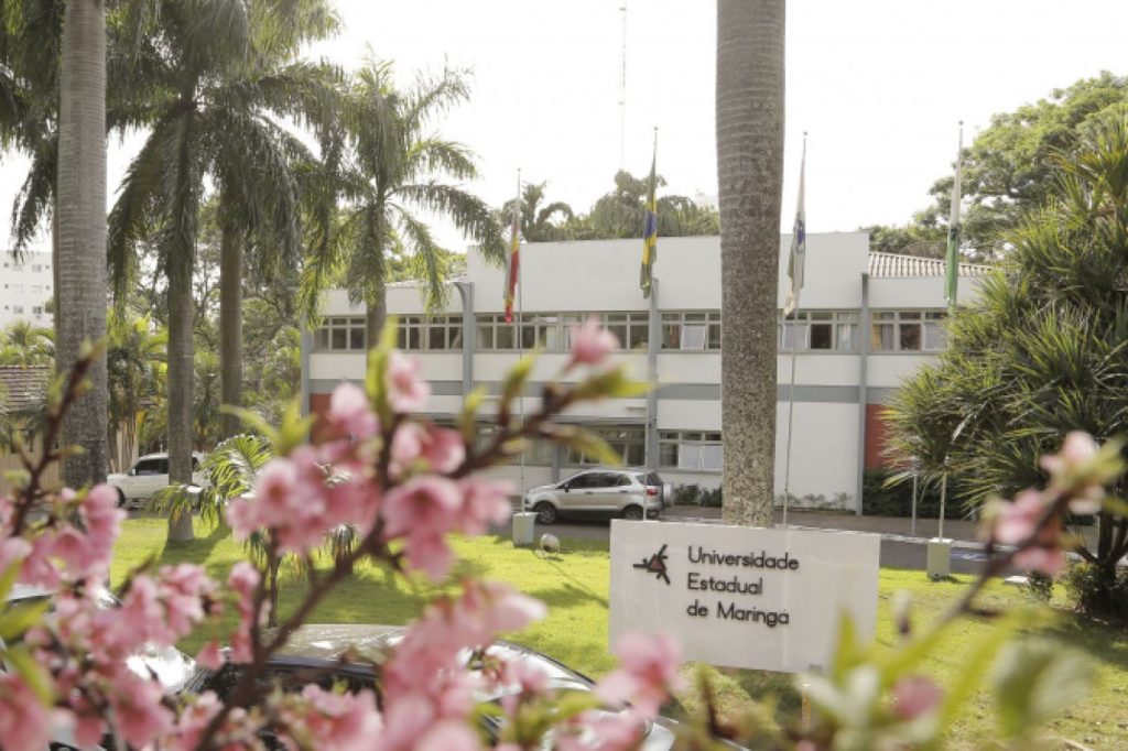 De instrutor de língua japonesa a contador: UEM vai contratar 18 servidores temporários De instrutor de língua japonesa a contador: UEM vai contratar 18 servidores temporários