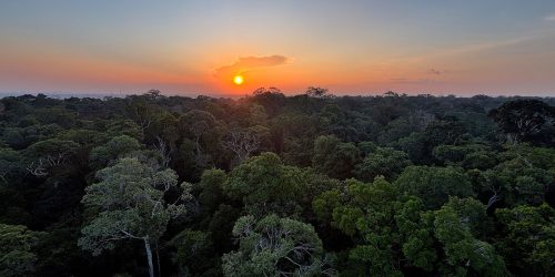 Instituto Clima e Sociedade lança edital para projetos que usam IA Imagem referente a Instituto Clima e Sociedade lança edital para projetos que usam IA