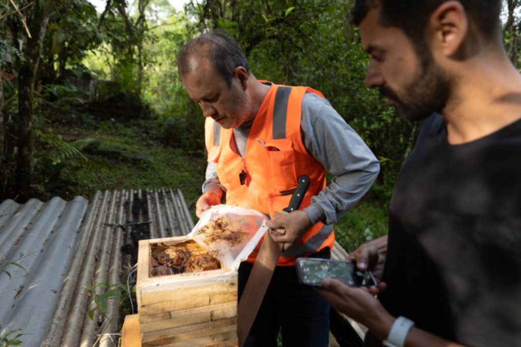 Sanepar resgata animais e faz replantio de vegetação na Barragem Miringuava Sanepar resgata animais e faz replantio de vegetação na Barragem Miringuava