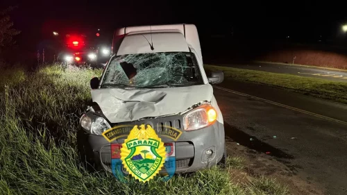 Furto, fuga e fatalidade: idosa morre atropelada por mulher embriagada Imagem referente a Furto, fuga e fatalidade: idosa morre atropelada por mulher embriagada