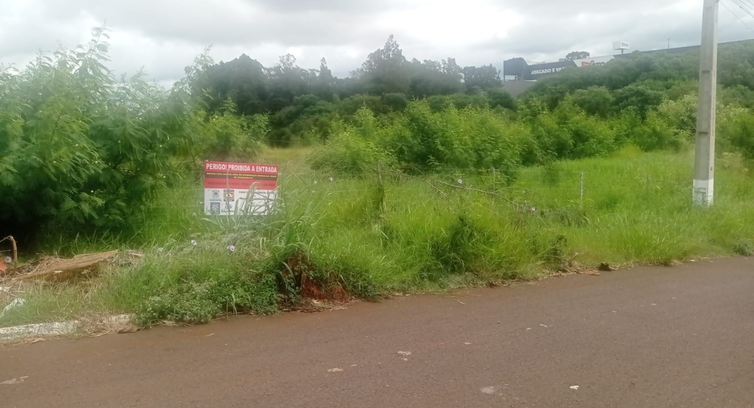 Lote baldio com mato alto e até cobra preocupa moradores no Cascavel Velho