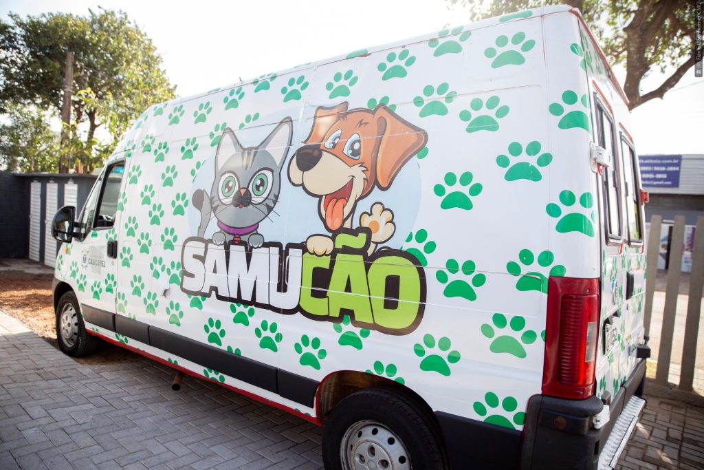 Samucão: Cascavel busca parcerias com clínicas veterinárias