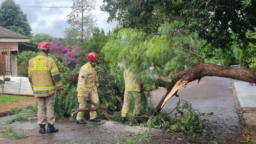 Árvore cai no meio da Rua e Corpo de Bombeiros é acionado ao Bairro Universitário Árvore cai no meio da Rua e Corpo de Bombeiros é acionado ao Bairro Universitário