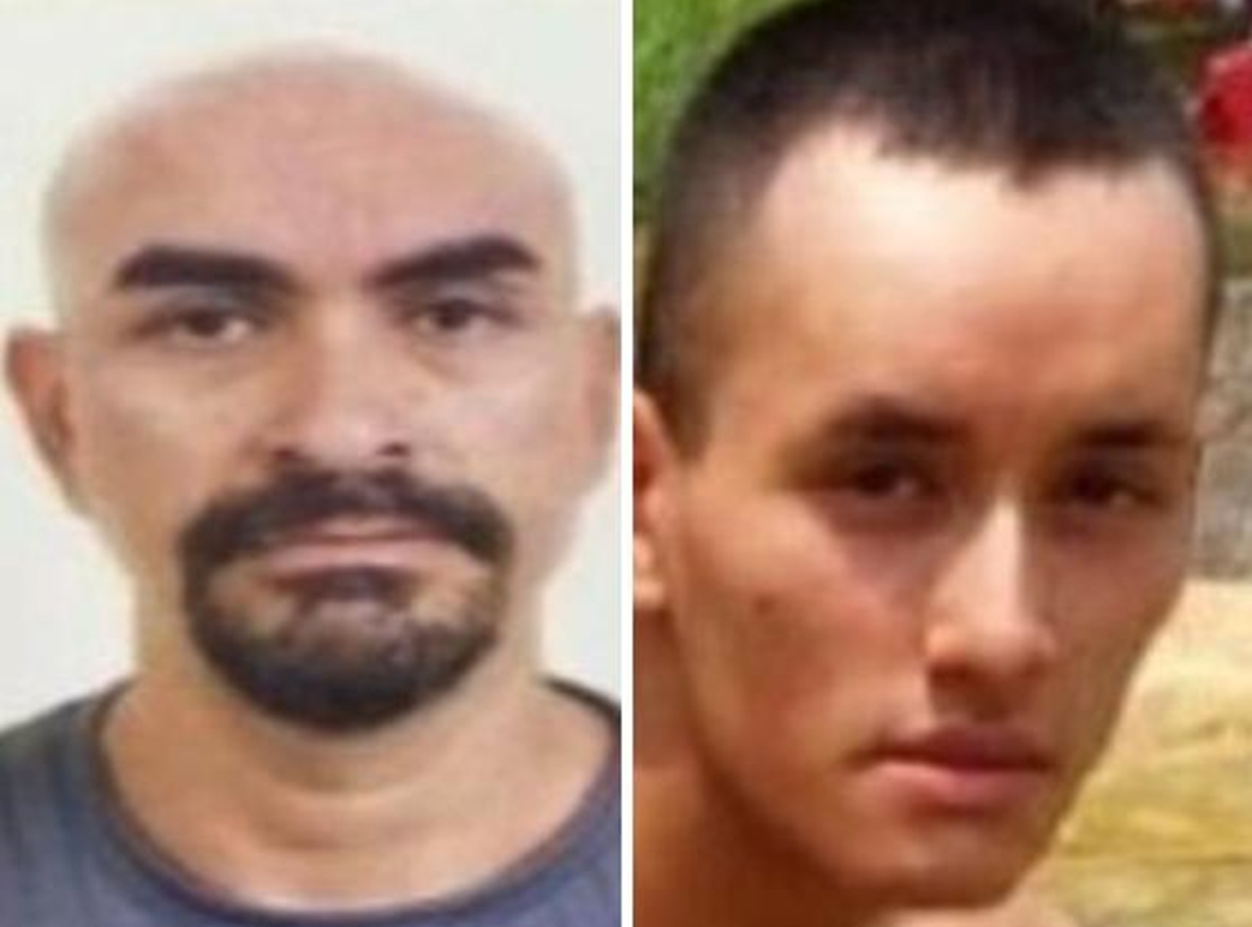 Corpos encontrados em mata são de pai e filho desaparecidos Corpos encontrados em mata são de pai e filho desaparecidos