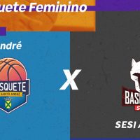Basquete Feminino: TV Brasil exibe AD Santo André X SESI Araraquara Imagem referente a Basquete Feminino: TV Brasil exibe AD Santo André X SESI Araraquara