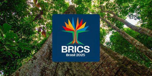 Sociedade civil pode se inscrever até o dia 10 em diálogo do Brics Imagem referente a Sociedade civil pode se inscrever até o dia 10 em diálogo do Brics
