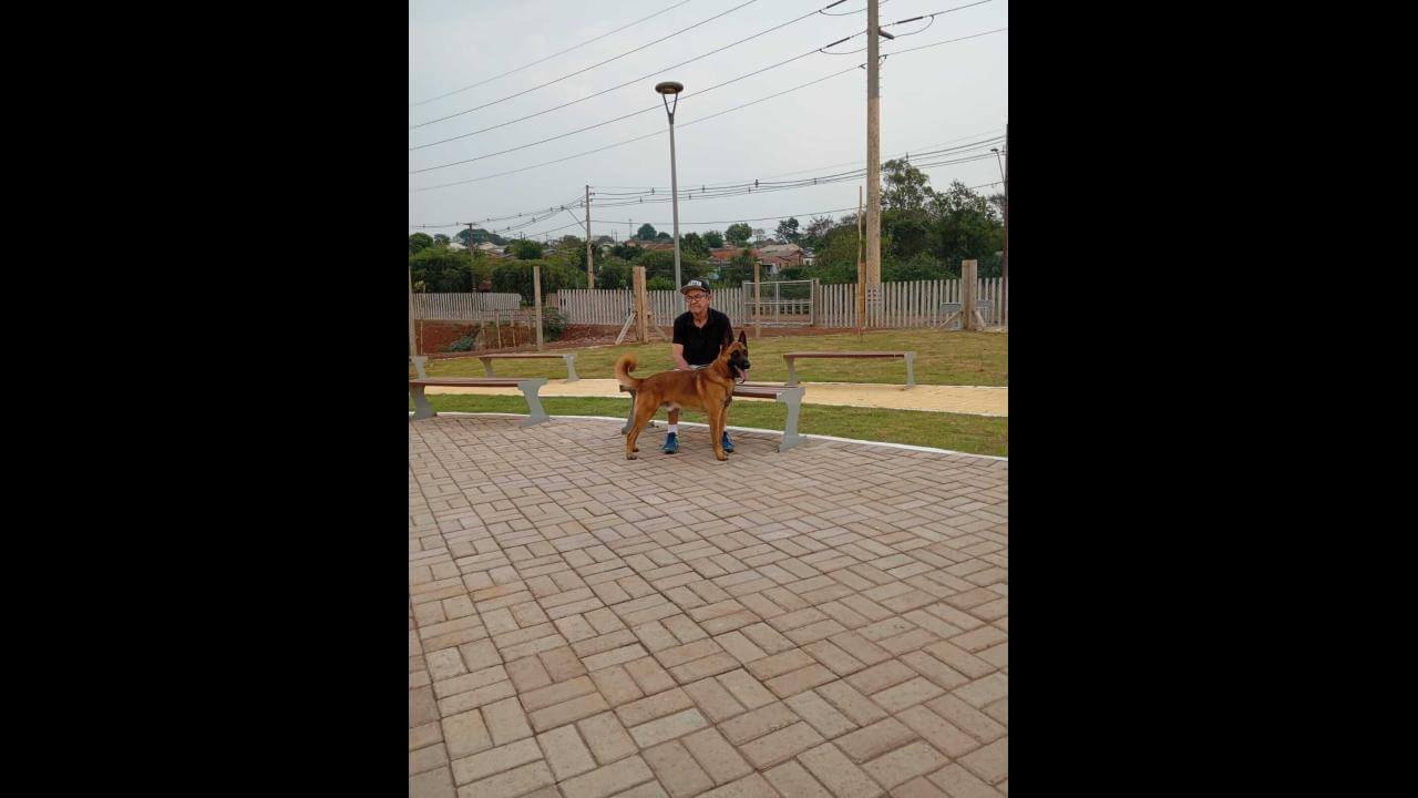 Cachorro Max desapareceu no bairro Brasília