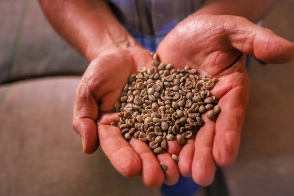 Comércio global: Paraná vendeu US$ 14,2 bilhões em alimentos e bebidas para 176 países em 2024 Comércio global: Paraná vendeu US$ 14,2 bilhões em alimentos e bebidas para 176 países em 2024