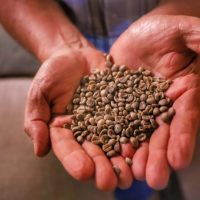 Imagem referente a Comércio global: Paraná vendeu US$ 14,2 bilhões em alimentos e bebidas para 176 países em 2024