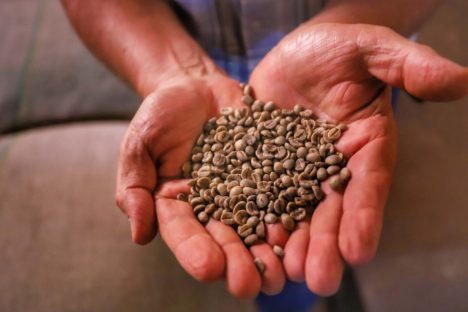 Comércio global: Paraná vendeu US$ 14,2 bilhões em alimentos e bebidas para 176 países em 2024 Imagem referente a Comércio global: Paraná vendeu US$ 14,2 bilhões em alimentos e bebidas para 176 países em 2024