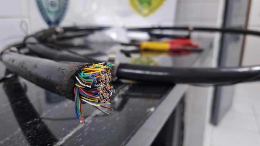 Guarda Municipal de Cascavel age contra furto de fios: homem é detido