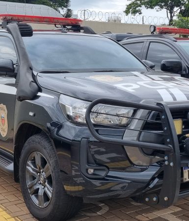 Confusão sobre guarda de criança mobiliza registros de ocorrências na Polícia Civil de Cascavel Imagem referente a Confusão sobre guarda de criança mobiliza registros de ocorrências na Polícia Civil de Cascavel