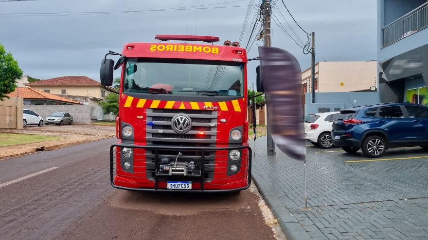 Operação Páscoa: Bombeiros são acionados para resgatar coelho em buraco
