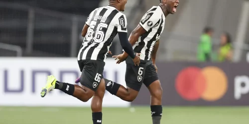 Botafogo vence primeira na Copa Libertadores Imagem referente a Botafogo vence primeira na Copa Libertadores