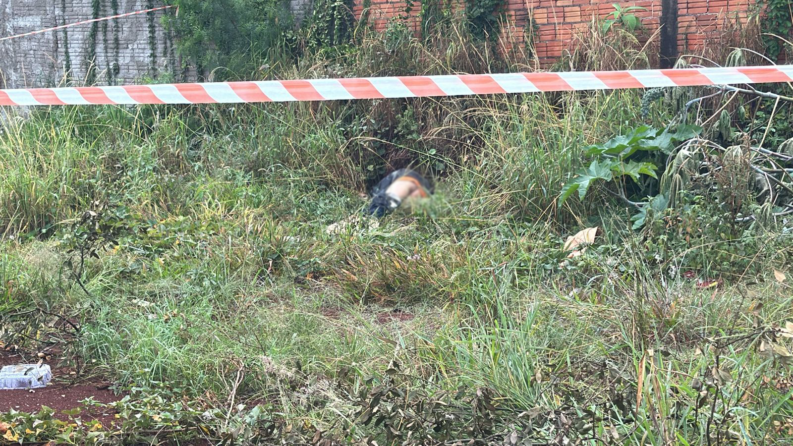 Cadáver é encontrado em área de matagal no bairro Brasmadeira Cadáver é encontrado em área de matagal no bairro Brasmadeira