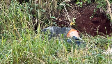 Imagem referente a Morador de rua encontrado morto com as calças abaixadas e ferimentos na cabeça é identificado