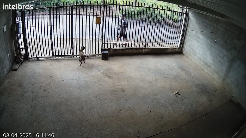 Vídeo: Homem furta produtos de residência no Gralha Azul Vídeo: Homem furta produtos de residência no Gralha Azul