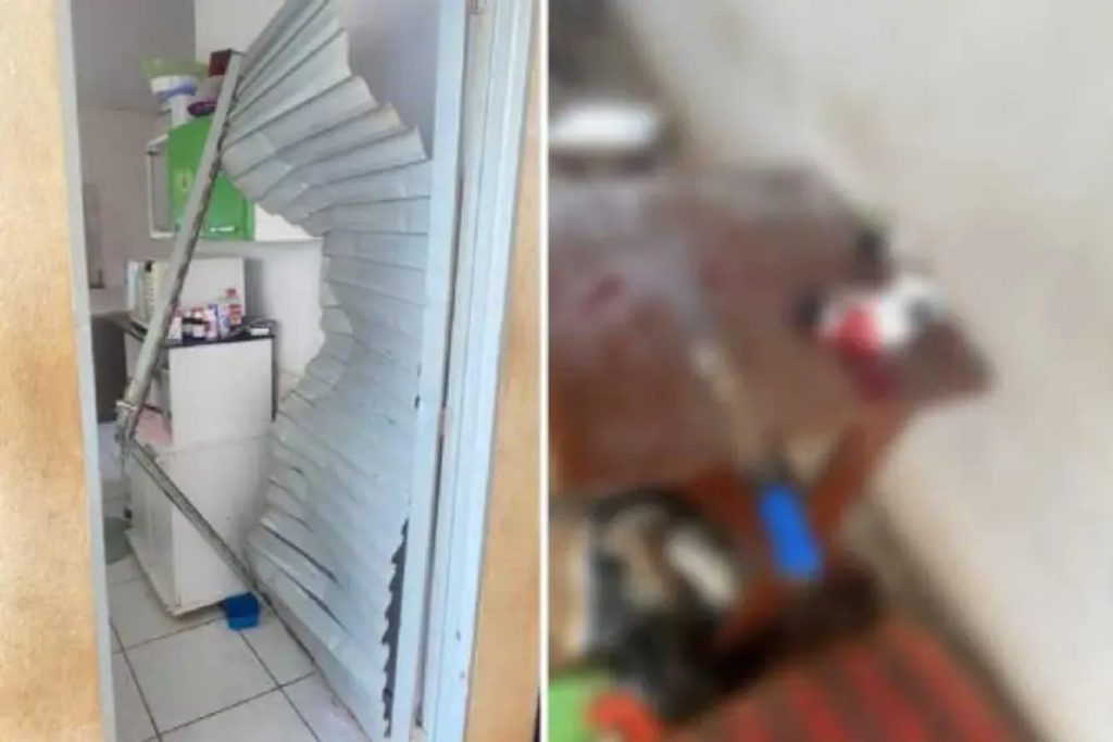 Polícia prende irmãos que invadiram casa da mãe e decapitam filhote de gato