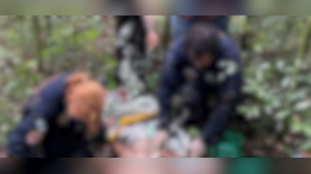 Caçador cai de árvore em Goioerê e vai para na UTI
