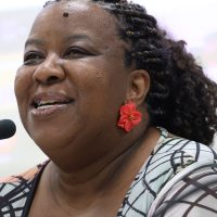 Imagem referente a Ministra destaca multilateralismo na solução de questões da humanidade