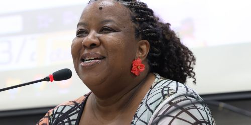 Imagem referente a Ministra destaca multilateralismo na solução de questões da humanidade