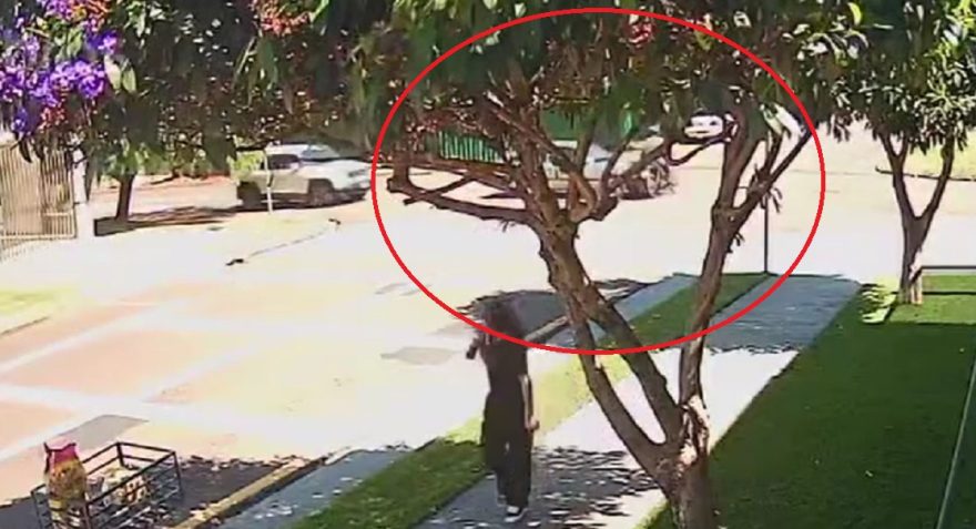 Câmera flagra grave acidente no Bairro Coqueiral