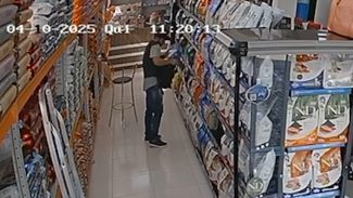 Câmeras flagram ladrão furtando pacote de ração felina