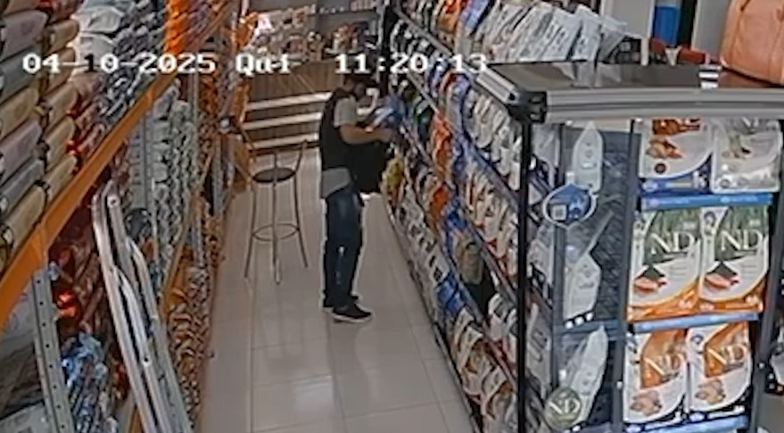 Câmeras flagram ladrão furtando pacote de ração felina