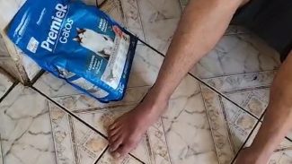 Ladrão tentou vender pacote de ração felina para comprar drogas; Veja momento da prisão