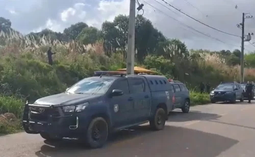 Homem é encontrado morto com tiro na cabeça em matagal na RMC Homem é encontrado morto com tiro na cabeça em matagal na RMC