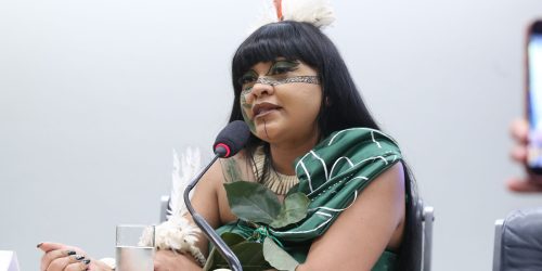 Célia Xakriabá denuncia ao STF violência policial durante marcha Imagem referente a Célia Xakriabá denuncia ao STF violência policial durante marcha